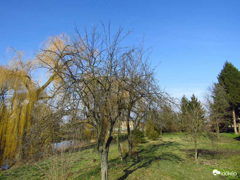 Sarkad