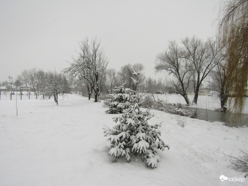 Sarkad