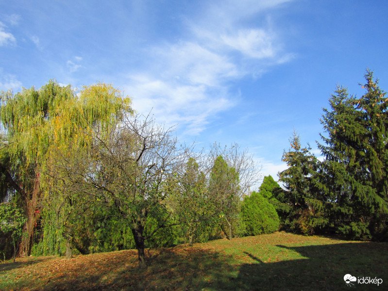 Sarkad