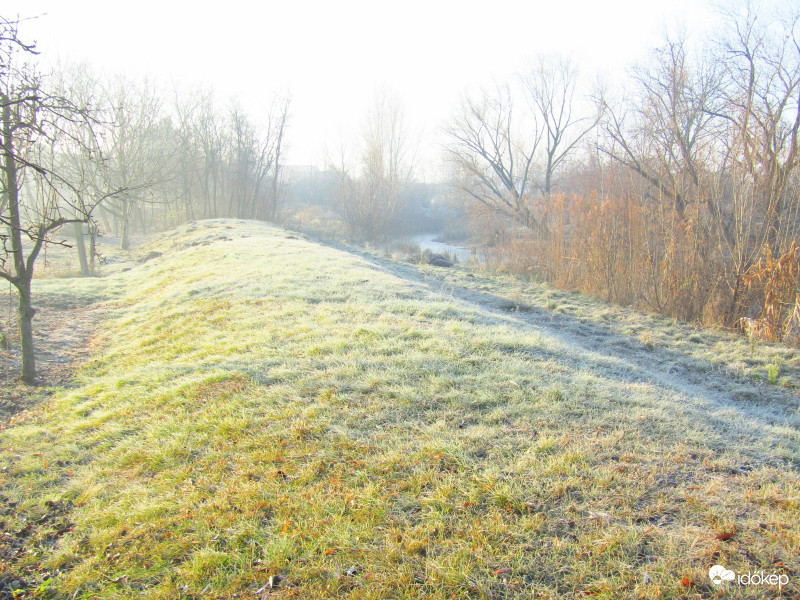 Sarkad