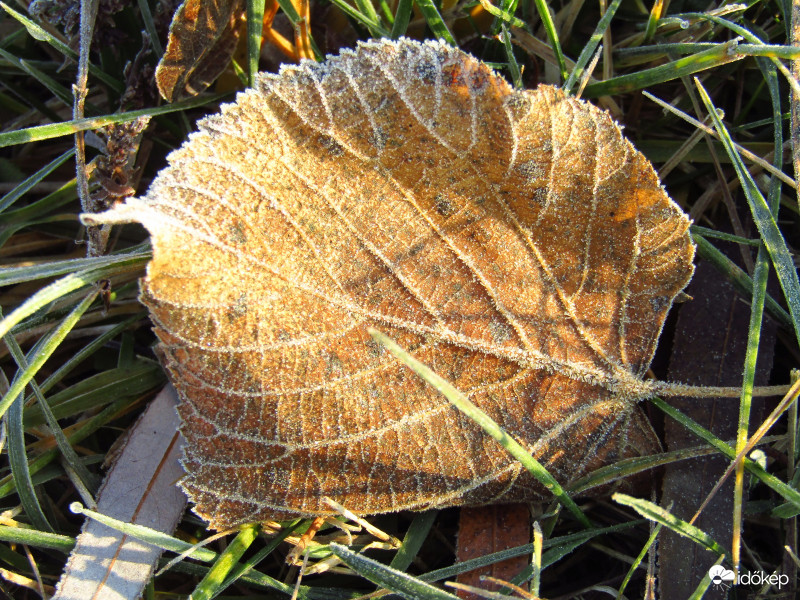 Sarkad