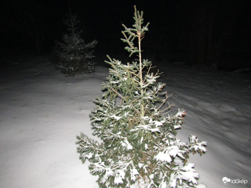 Sarkad