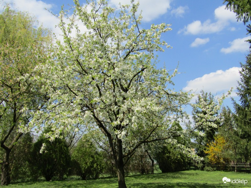Sarkad