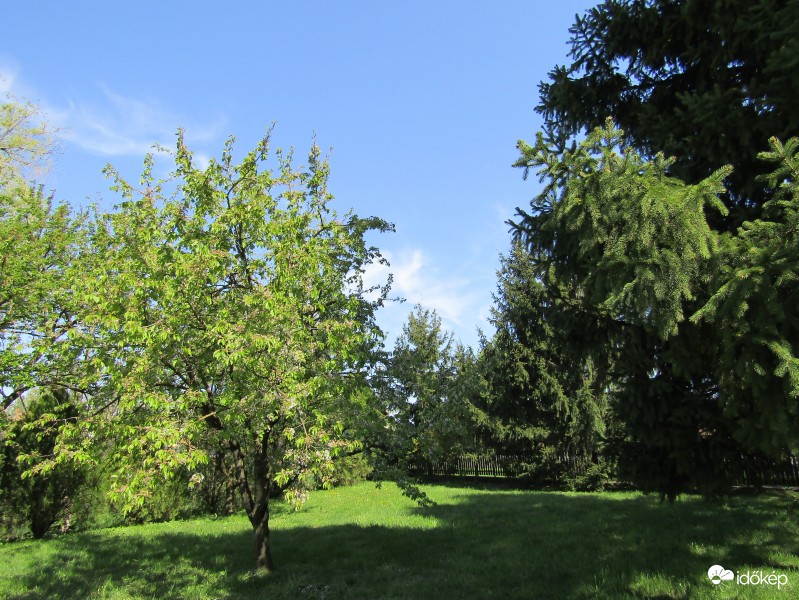 Sarkad