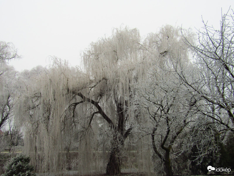 Sarkad