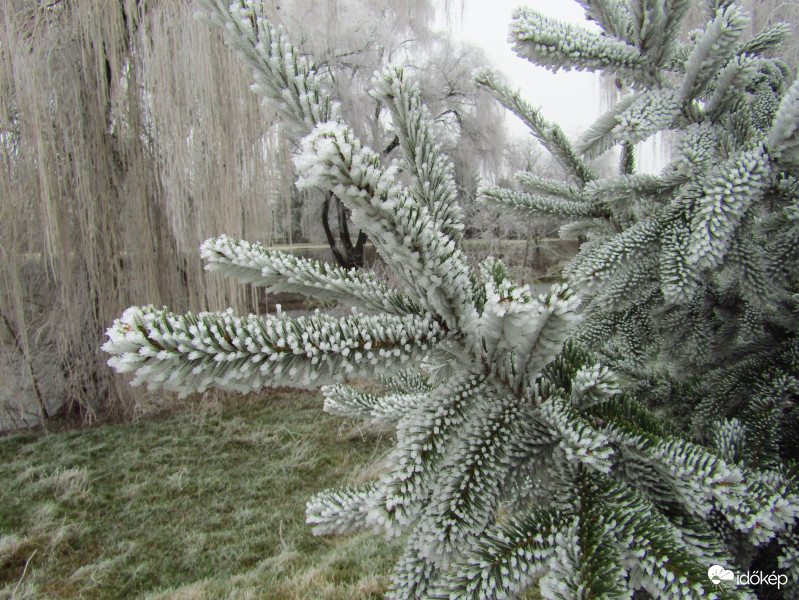 Sarkad