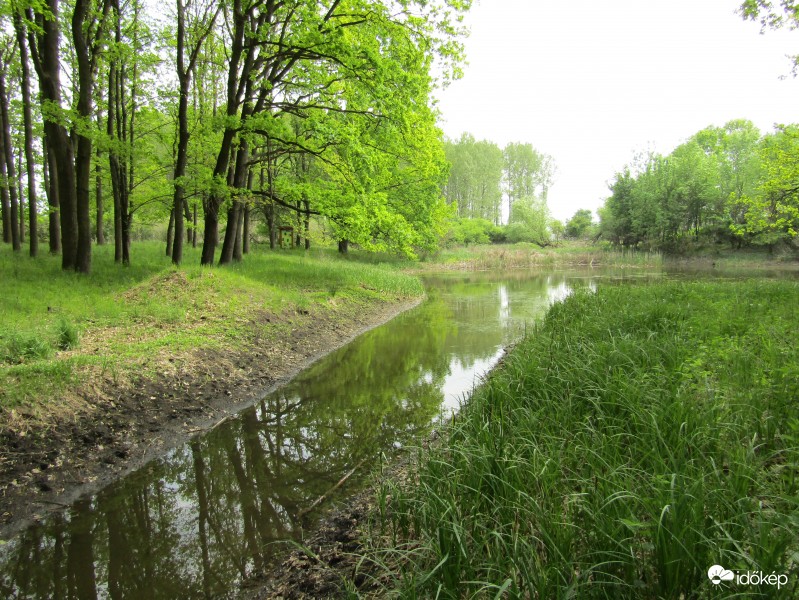 Sarkad