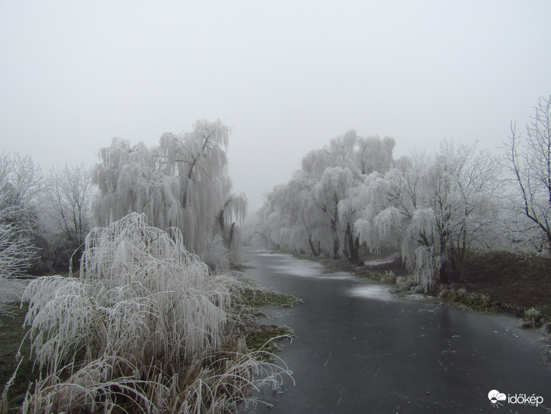Sarkad