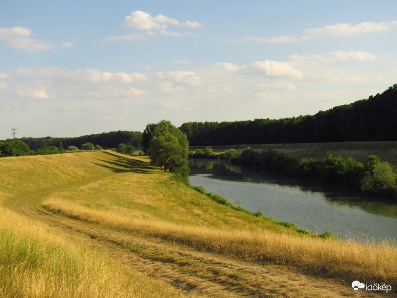 Sarkad