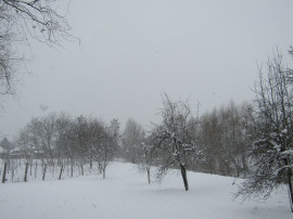 Sarkad
