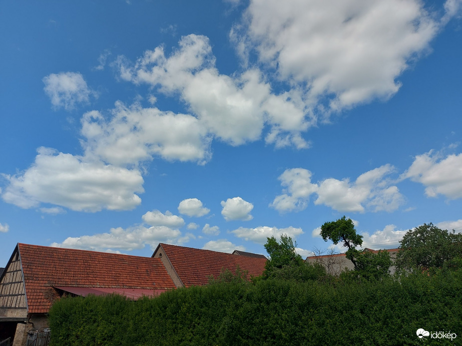 Waldzell