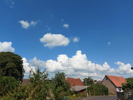 Waldzell