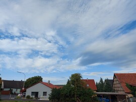 Waldzell