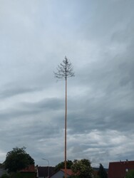 Waldzell