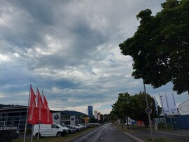 Wombach
