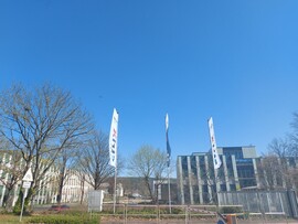 Wombach