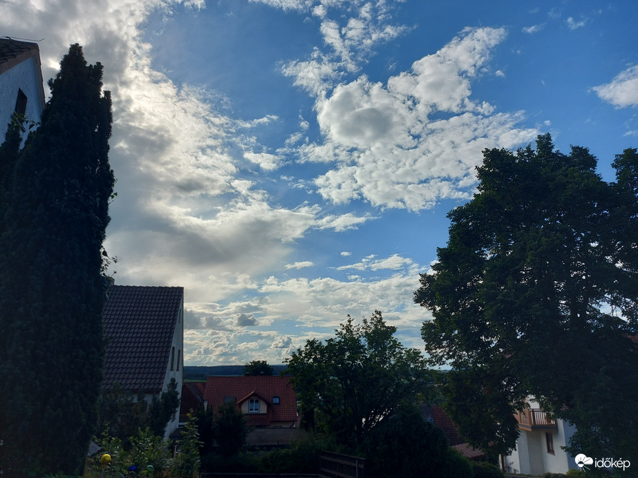 Waldzell