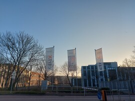 Wombach