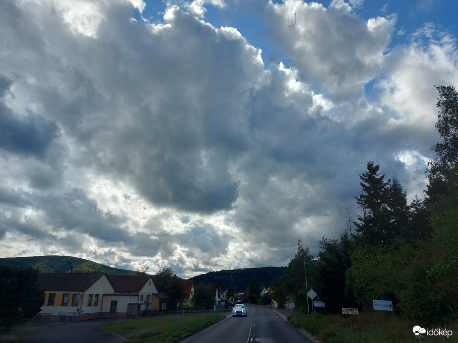 Langenprozelten
