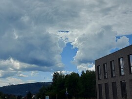 Langenprozelten