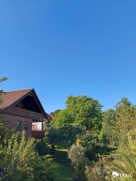 Waldzell