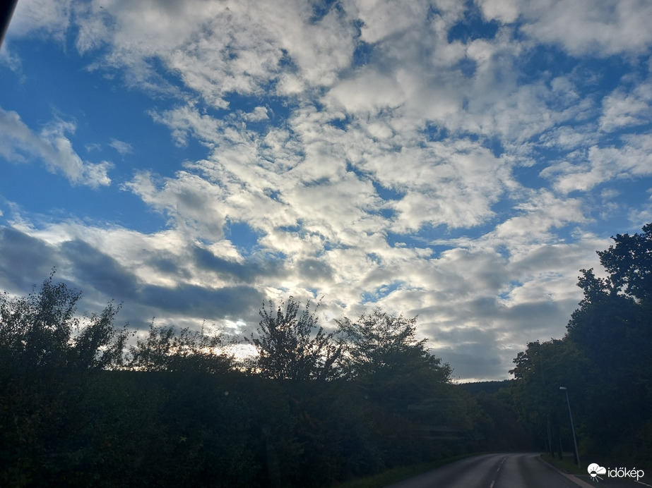 Wombach