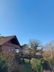 Waldzell