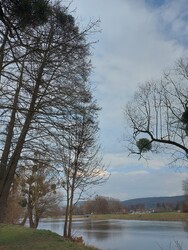 Sackenbach