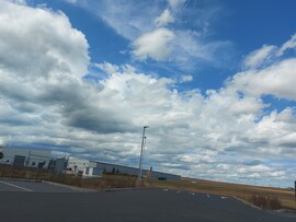 Waldzell