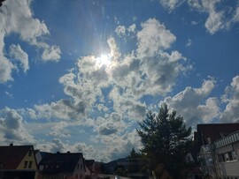 Langenprozelten