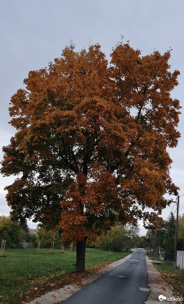 Balatonfűzfő