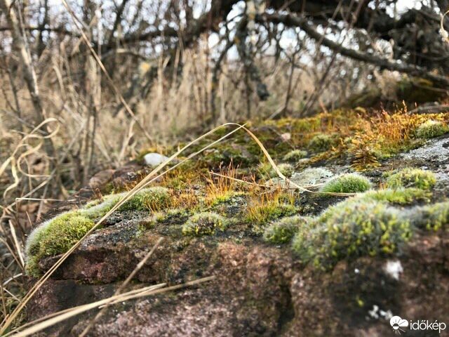 Balatonfűzfő