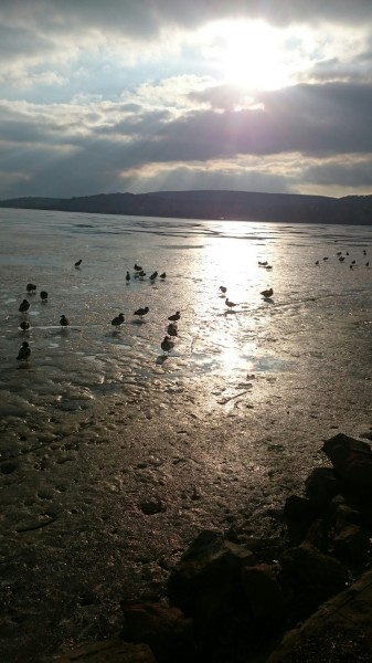 Balatonfűzfő