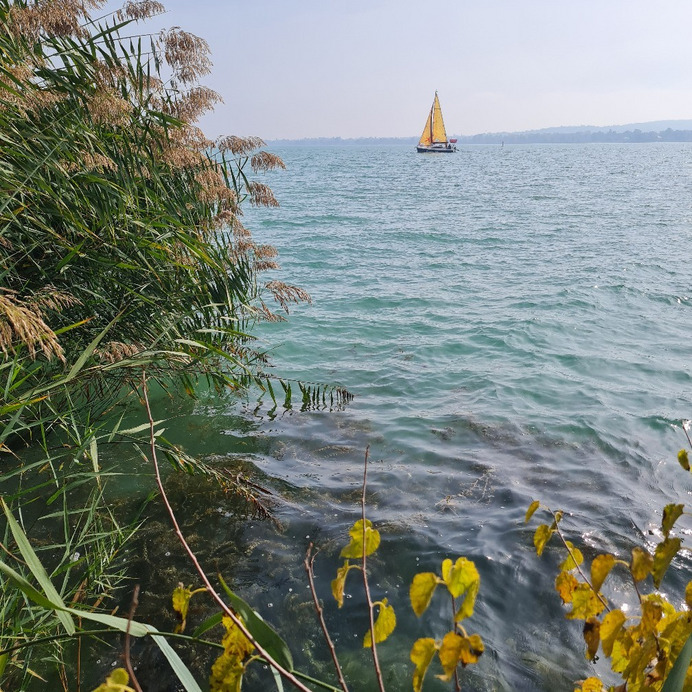 Balatonfűzfő