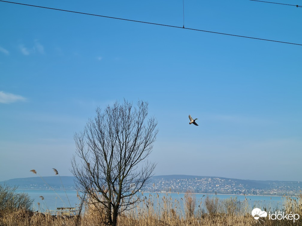 Balatonfűzfő
