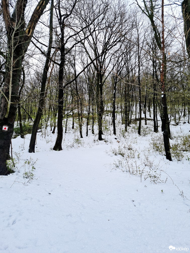 Balatonfűzfő