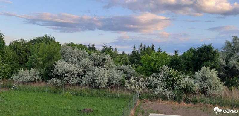 Balatonfűzfő