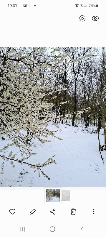 Balatonfűzfő