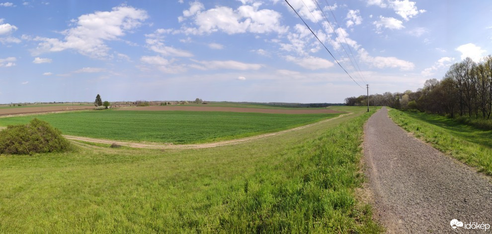 Makó