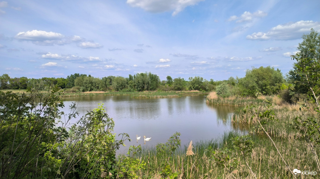 Makó