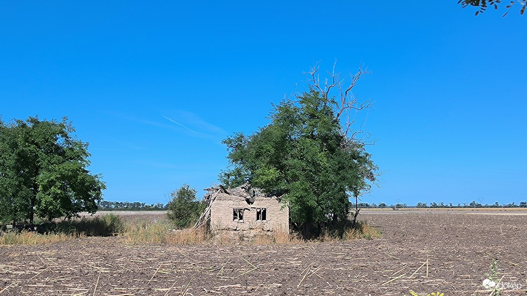 Makó
