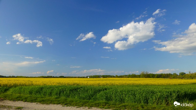 Kalocsa