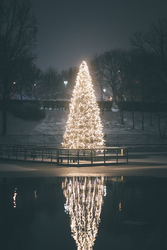 Kőbányai Bányató Park