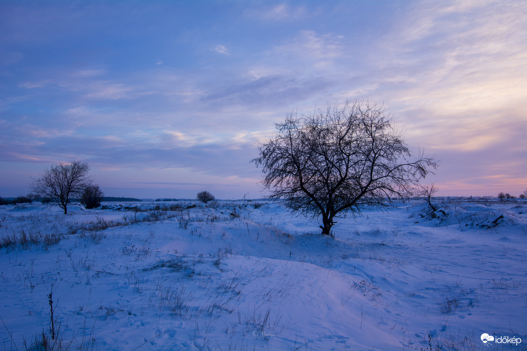 Kora este a pusztában 