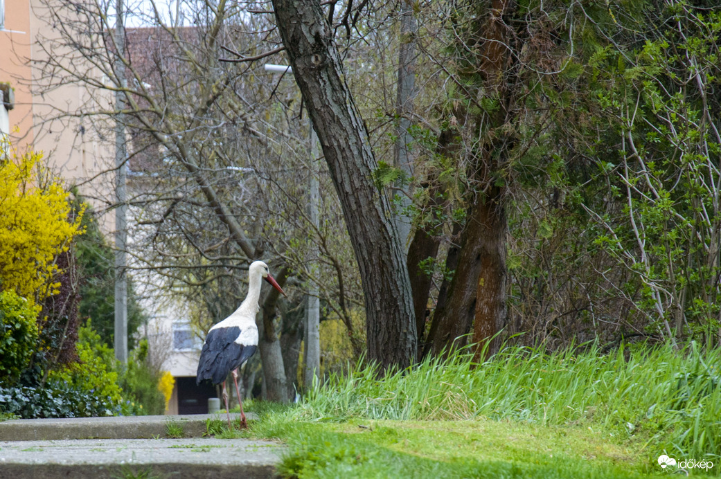 Így járkálok a lakótelepen a város központban 