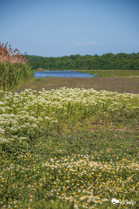Hortobágyi Nemzeti Park