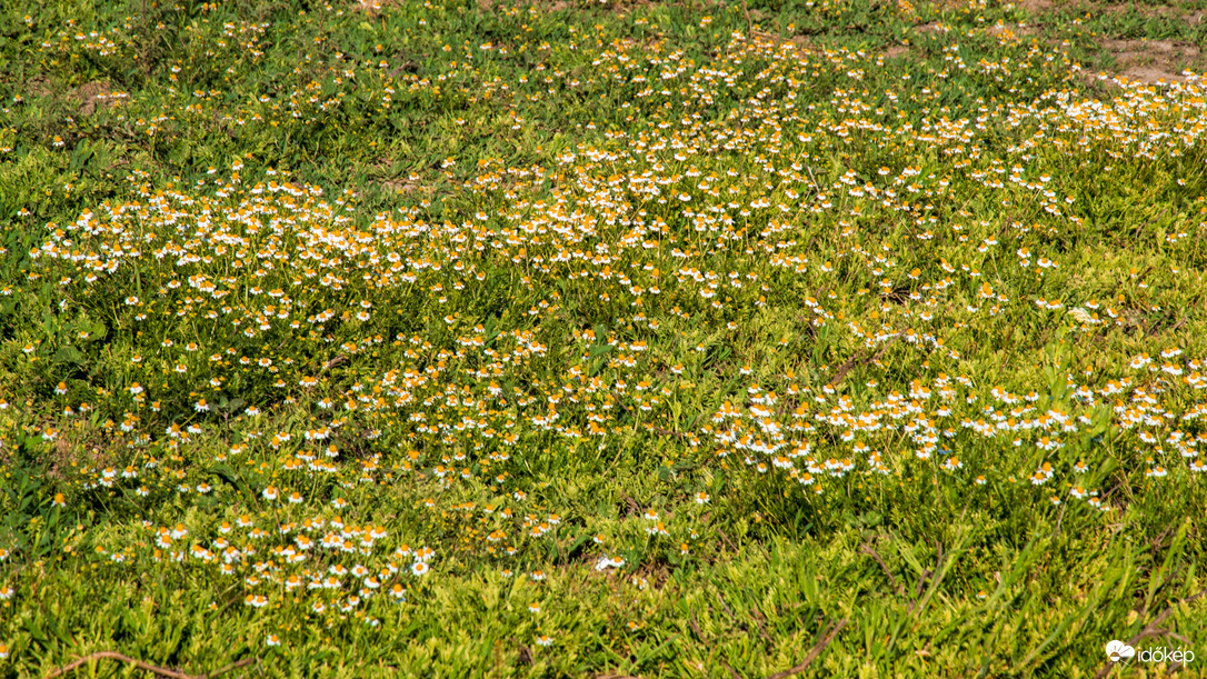 Hortobágyi Nemzeti Park
