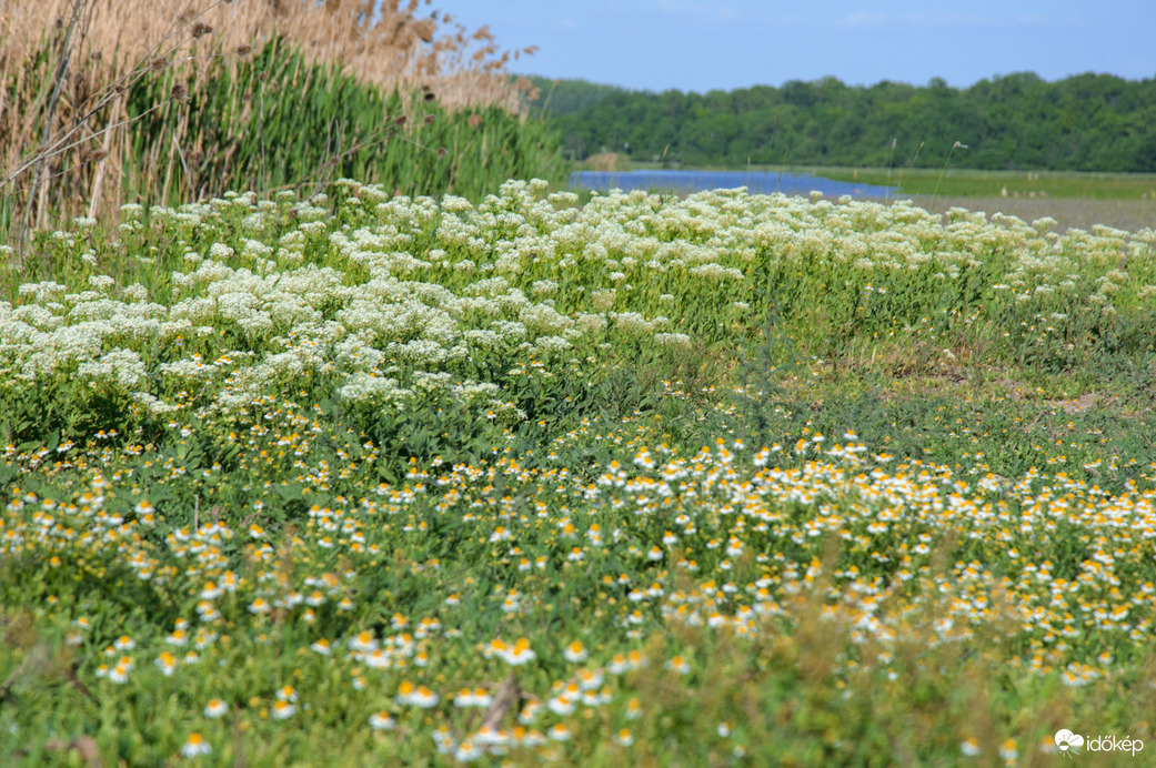 Hortobágyi Nemzeti Park