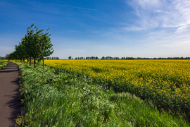 stokker fotója
