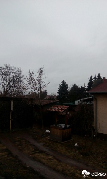 Sarud